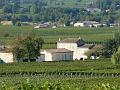 Vineyards near Saint-Émilion P1140188